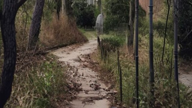 Tragic Discovery: Man Found Deceased Along Pennsylvania Walking Path | zeus777 slot, 303 toto, onlin